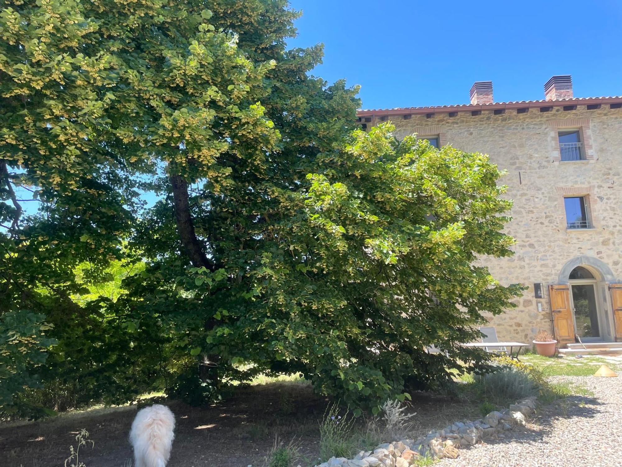 Oasi Acquafresca Monzuno Exterior foto